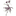 Moyses Stevens Flowers