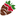 Shari's Berries