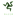 Razer