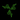 Razer