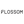 FLOSSOM