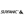 Surfanic