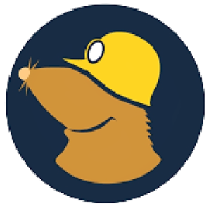 Mullvad VPN