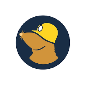 Mullvad VPN