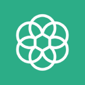 Pocket AI 