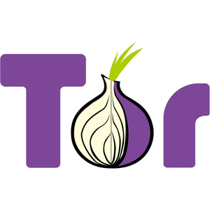 Tor VPN 
