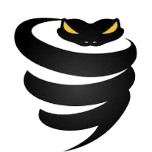 VyprVPN 