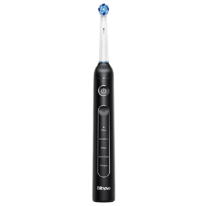 Bitvae R2