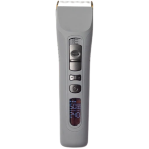 Brio Beardscape V1