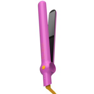 InStyler Ceramic Styling Iron