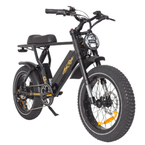 Ariel Rider X Class 52V