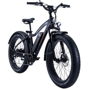 Rad Power RadRover 5