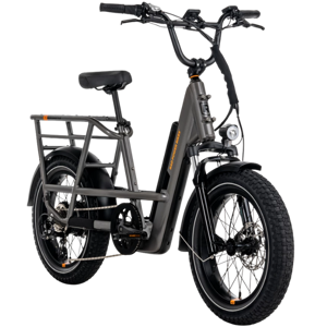 Rad Power RadRunner 3 Plus
