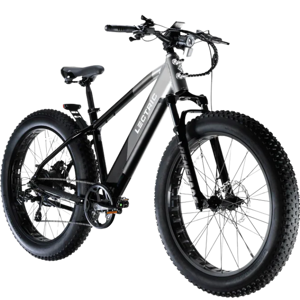 Lectric XPeak