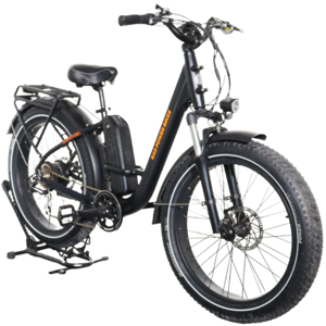 Rad Power RadRover 1