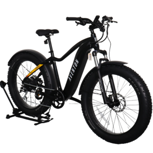 Aventon Aventure 1