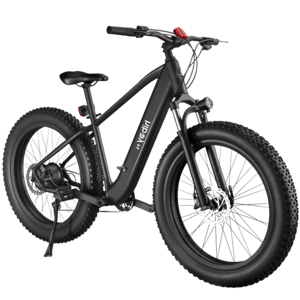 Hiboy P6
