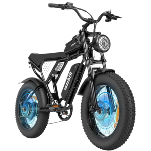 Ridstar Q20 Lite 1000W