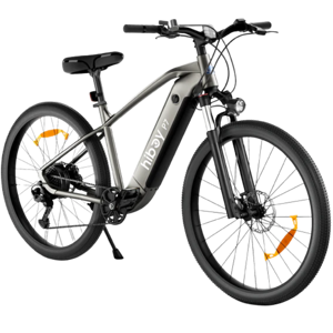 Hiboy P7