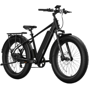 NIU BQi Fat Tire 300 (Step‐over)