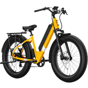 NIU BQi Fat Tire 300 (Step‐through)