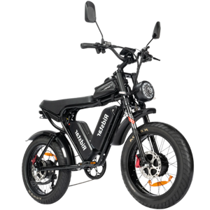 Ridstar Q20Pro