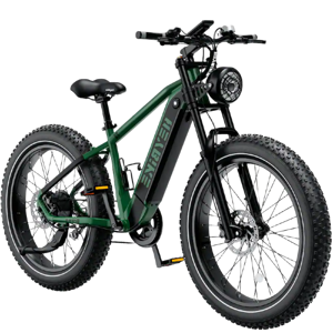 Heybike Brawn