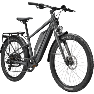 Cannondale Adventure Neo Allroad EQ