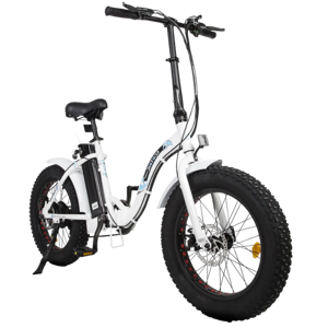 Ecotric Dolphin
