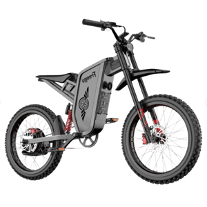 Freego X2 Pro