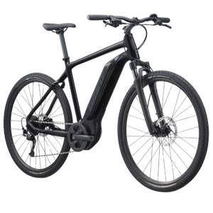 Giant Roam E+ GTS