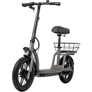 GOTRAX Flex Voyager