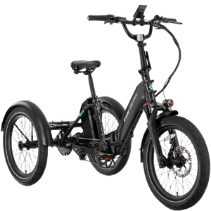 Lectric Trike2