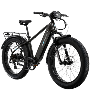 Lectric XPeak2 High-Step