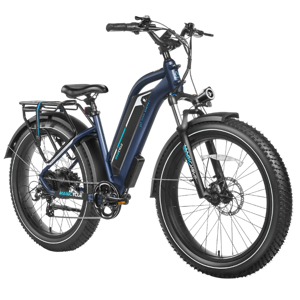 Magicycle Cruiser Pro