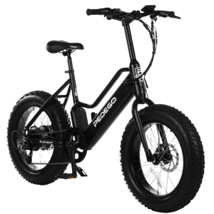Pedego Element