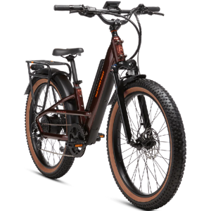 Rad Power Radster Trail
