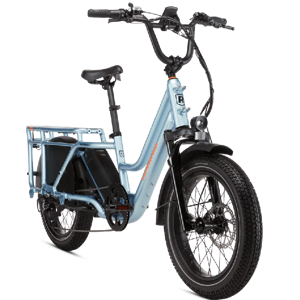 Rad Power RadWagon 5