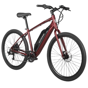 Schwinn Regent