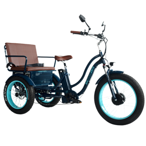 Sixthreezero EVRYjourney Rickshaw