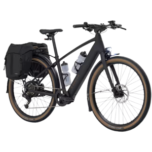 Trek FX+ 1