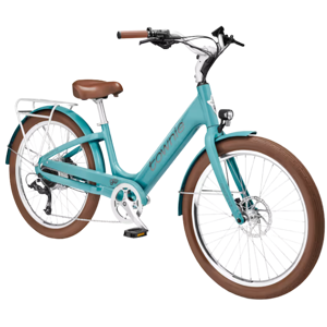 Trek Townie Go!