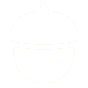 Acorns