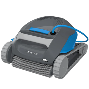 Dolphin Cayman