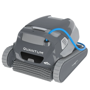 Dolphin Quantum