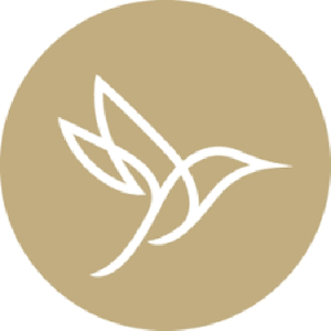 Allied Schools