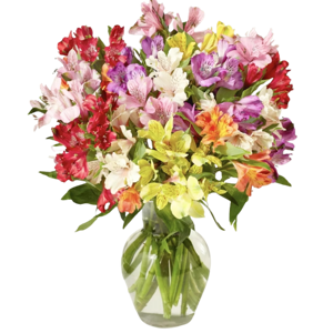 BloomsyBox