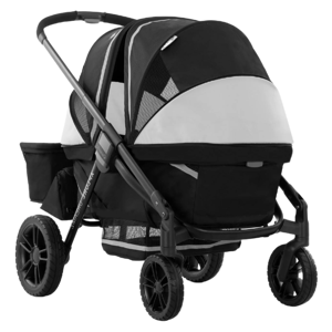 Evenflo Pivot Xplore Dreamz
