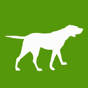 Dogwatch 