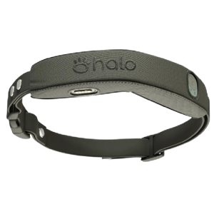 Halo Collar 4